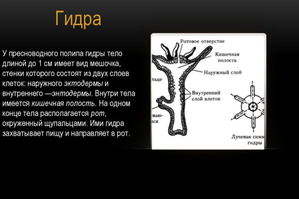 Kra40.cc