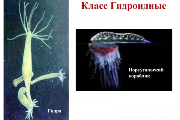 Зайти на кракен без тора