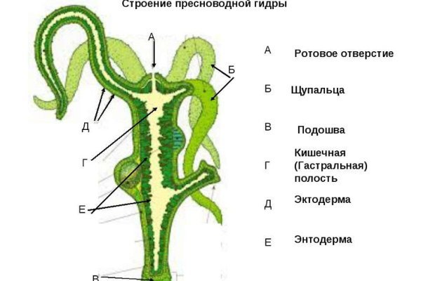 Кракен мага