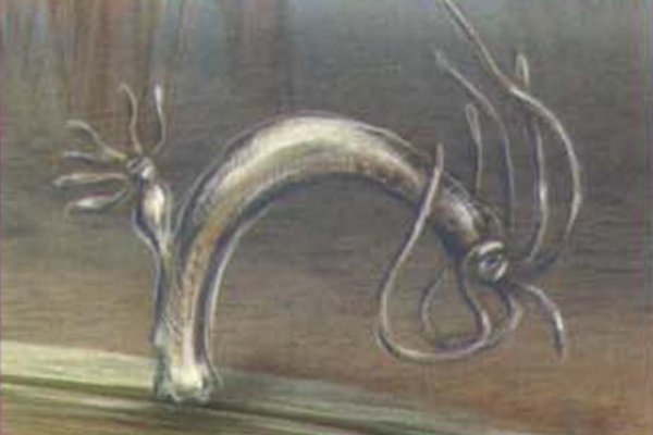 Kraken clear ссылка
