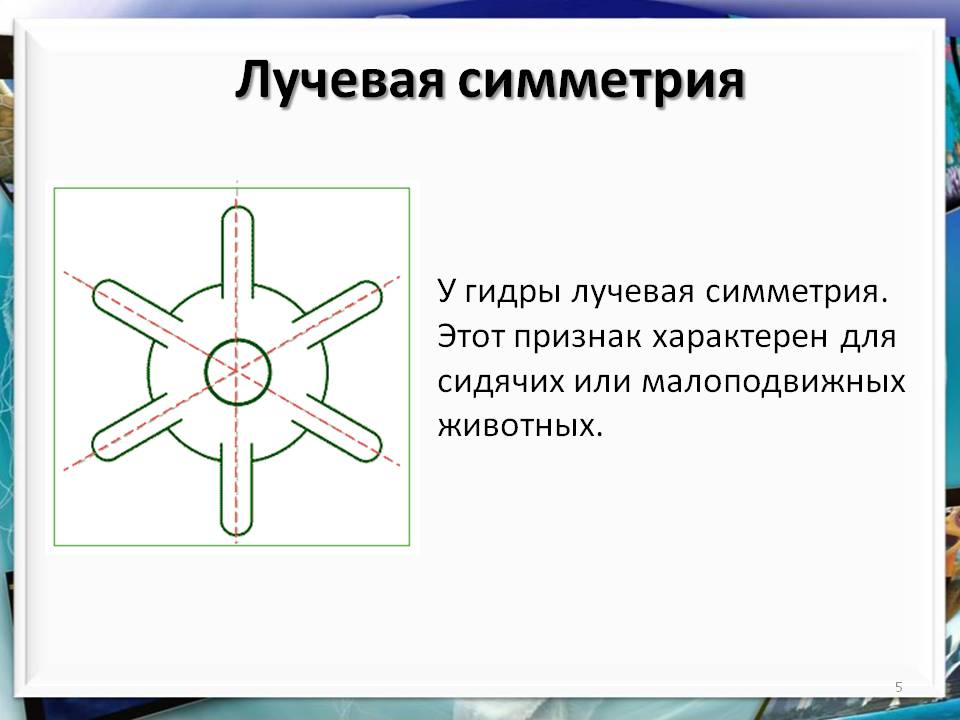 Kra50.cc Вход на сайт главная страница
