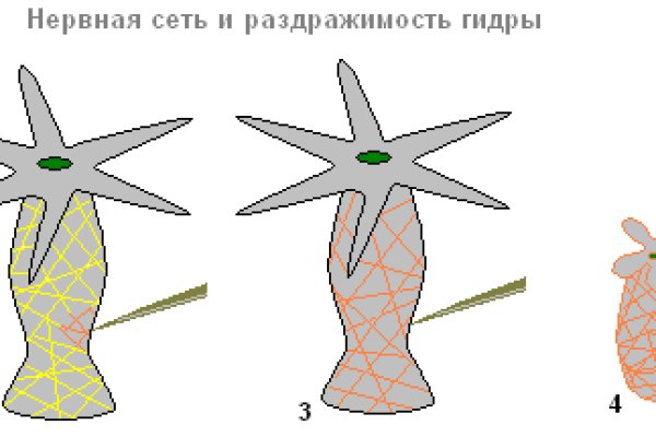 Маркет кракен маркетплейс