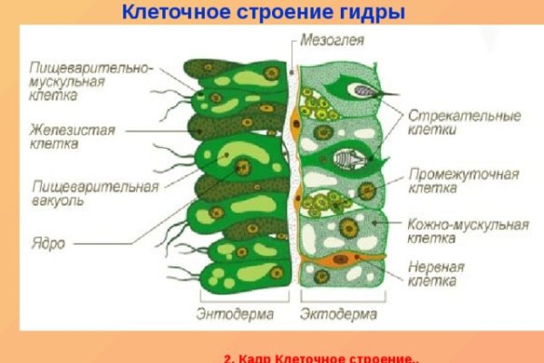 Кракен даркнет площадка ссылка