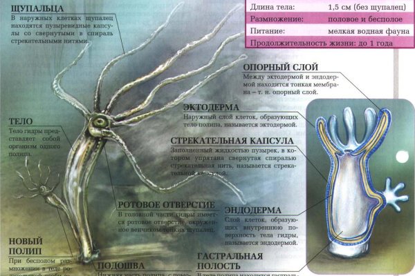 Кракен вход рабочий