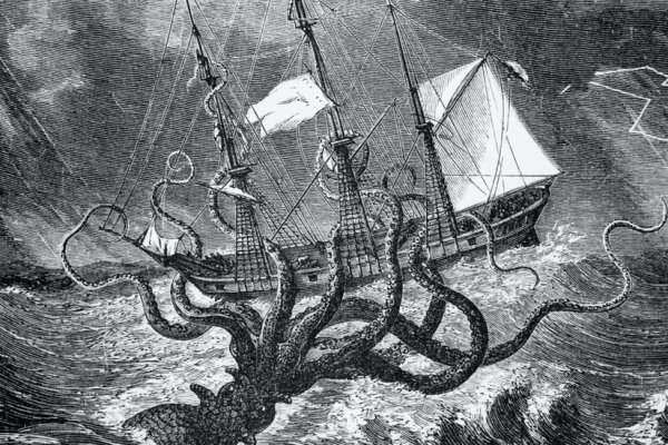Kraken 22 аt