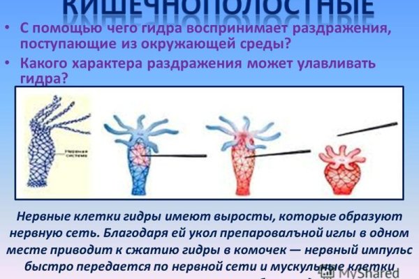 Прямая ссылка на кракен