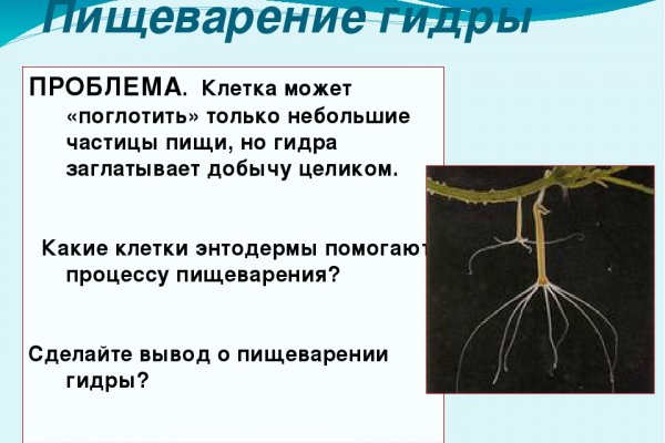 Ссылка для входа на сайт kraken
