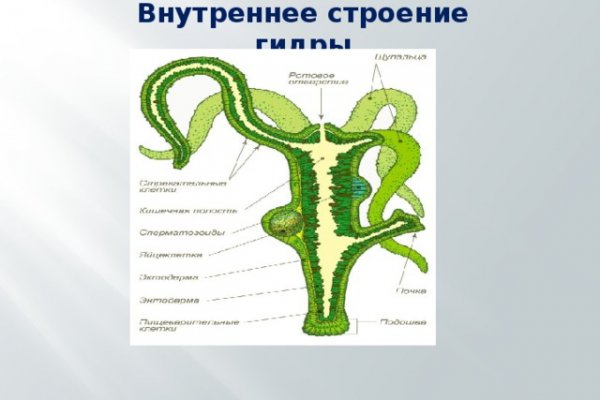 Кракен сайт kr2web in цены