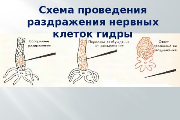 Кракен что там продают
