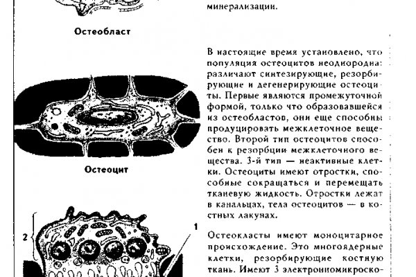 Kraken ссылка kraken link24 info
