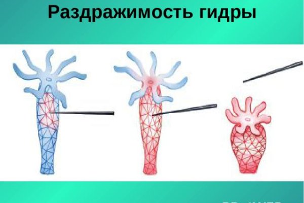 Кракен вход официальная ссылка